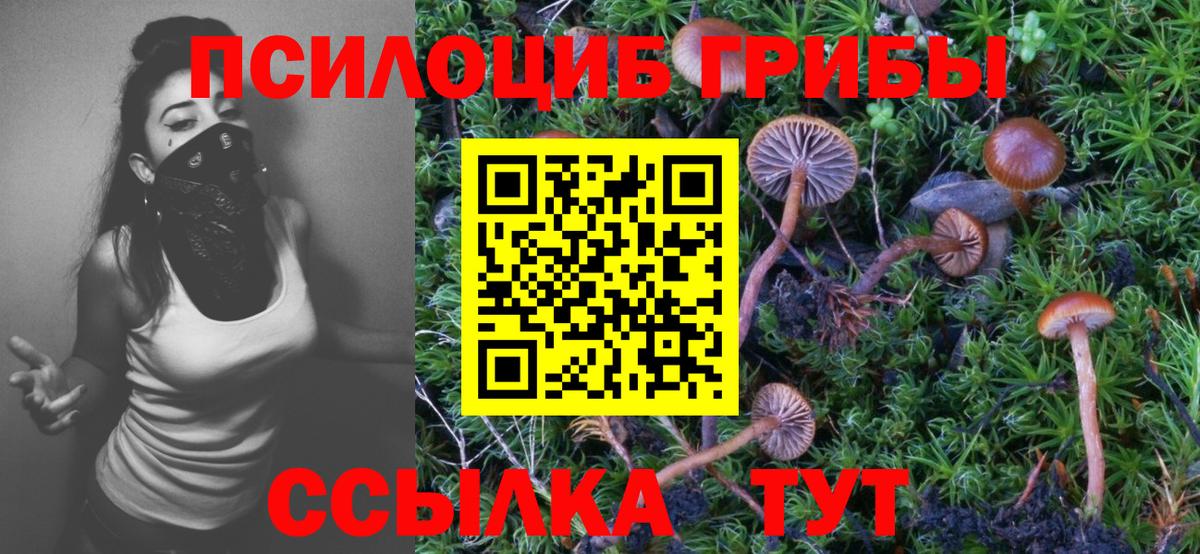 Псилоцибиновые грибы Psilocybine cubensis  Псилоцибиновые грибы Psilocybe  Вход с VPN  Кириши 